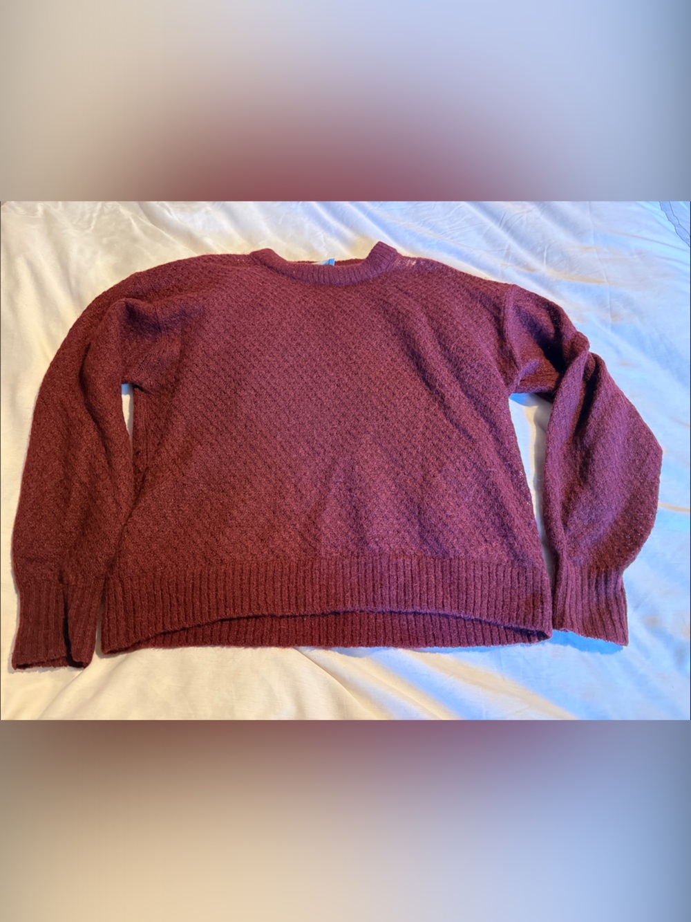 Everlane Burgundy Textured Crewneck Sweater
